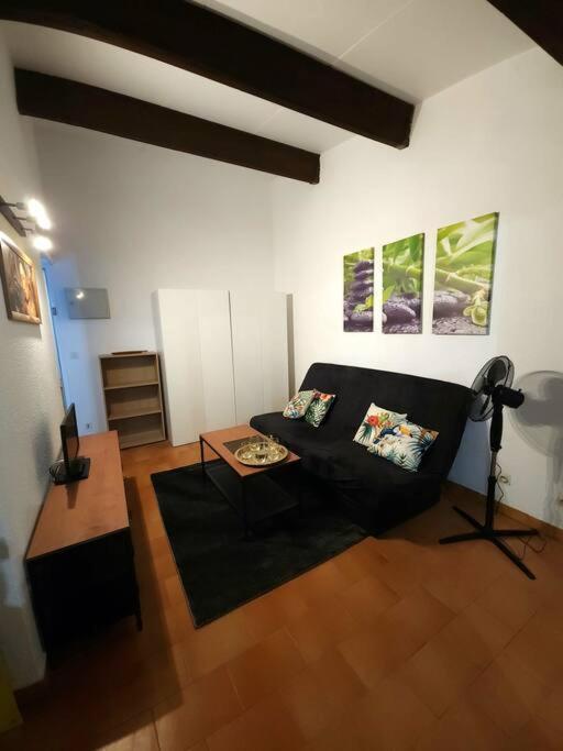 A 8 Mn A Pied Des Plages Appartement Avec Piscine Et Tennis أرجيليه- سور- مير المظهر الخارجي الصورة